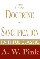 The Doctrine of Sanctification 표지 이미지