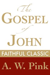 The Gospel of John 표지 이미지