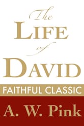 The Life of David 표지 이미지