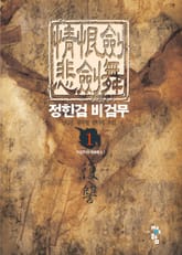 정한검 비검무 표지 이미지