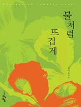 불처럼 뜨겁게 표지 이미지