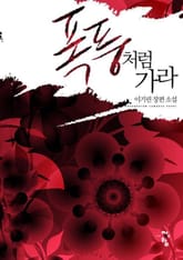 폭풍처럼 가라 표지 이미지