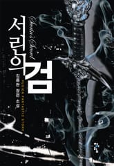 서린의 검 표지 이미지