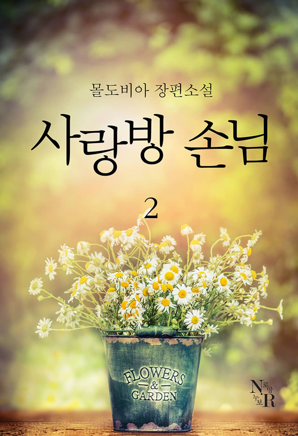 사랑방 손님 2권 (완결)