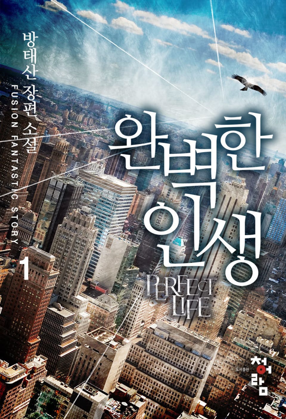 완벽한 인생 1권