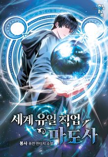 세계 유일 직업 마도사