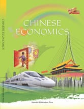 Chinese Economics 표지 이미지