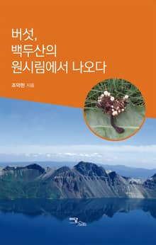버섯, 백두산의 원시림에서 나오다