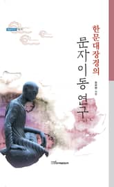 (한문대장경의)문자이동 연구 표지 이미지