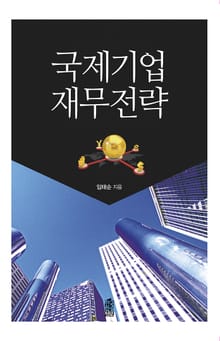 국제기업 재무전략