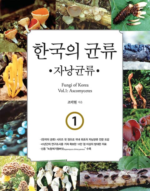 한국의 균류 1 : 자낭균류 표지 이미지
