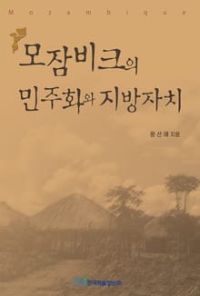 모잠비크의 민주화와 지방자치