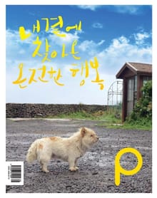 감성 매거진 P 2013년 8월호 (격월간)