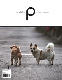 감성 매거진 P 2013년 10월호 (격월간)