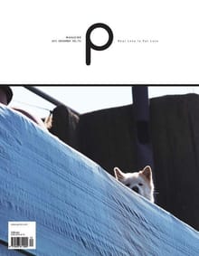 감성 매거진 P 2013년 12월호 (격월간)