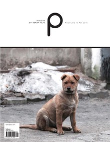 감성 매거진 P 2014년 2월호 (격월간)