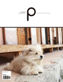 감성 매거진 P 2014년 6월호 (격월간)