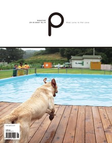 감성 매거진 P 2014년 8월호 (격월간)