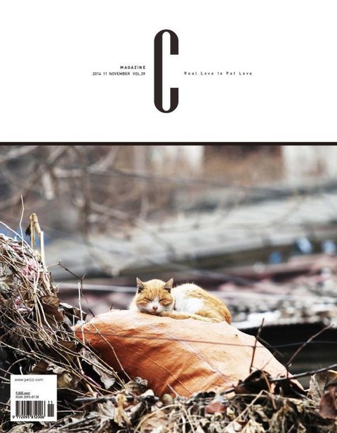 감성 매거진 C 2014년 11월호 (격월간)