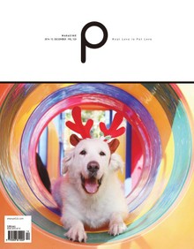감성 매거진 P 2014년 12월호 (격월간)