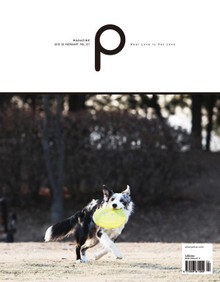 감성 매거진 P 2015년 2월호 (격월간)