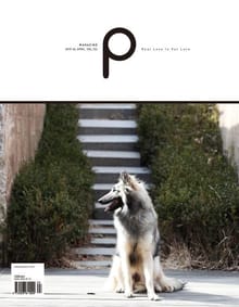 감성 매거진 P 2015년 4월호 (격월간)