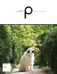 감성 매거진 P 2015년 6월호 (격월간)