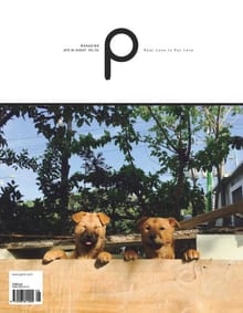 감성 매거진 P 2015년 8월호 (격월간)