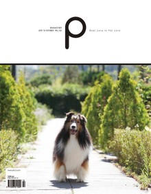감성 매거진 P 2015년 10월호 (격월간)