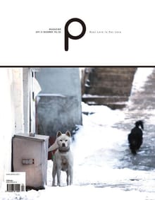 감성 매거진 P 2015년 12월호 (격월간)