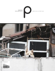 감성 매거진 P 2016년 6월호 (격월간)