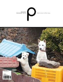 감성 매거진 P 2016년 8월호 (격월간)