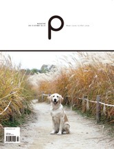 감성 매거진 P 2016년 10월호 (격월간) 표지 이미지