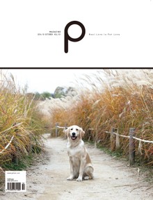 감성 매거진 P 2016년 10월호 (격월간)
