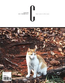 감성 매거진 C 2016년 11월호 (격월간)