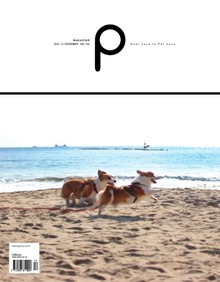 감성매거진 P 2016년 12월호 (격월간)