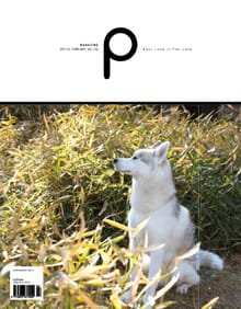 감성 매거진 P 2017년 2월호 (격월간)