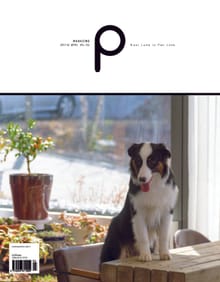 감성 매거진 P 2017년 4월호 (격월간)