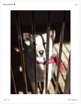 감성매거진P 2017년 08월호(격월간) 표지 이미지