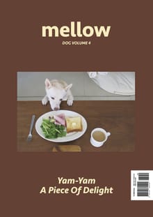 Mellow Dog Volume 4 멜로우 매거진