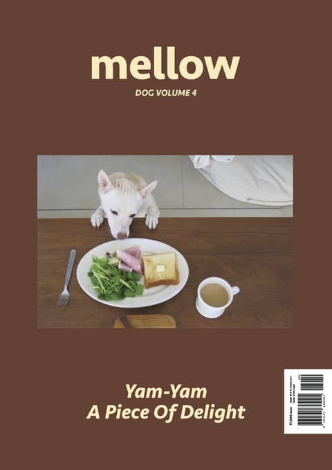 Mellow Dog Volume 4 멜로우 매거진 표지 이미지