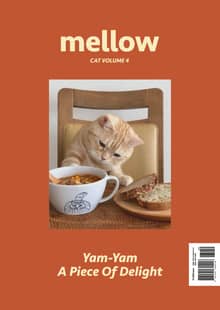 Mellow Cat Volume 4 멜로우 매거진