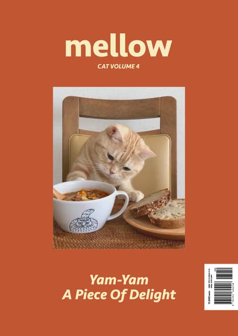 Mellow Cat Volume 4 멜로우 매거진 표지 이미지
