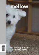 Mellow Dog Volume 6 멜로우 매거진 표지 이미지
