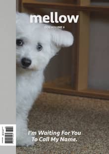 Mellow Dog Volume 6 멜로우 매거진