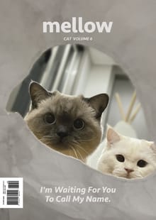 Mellow Cat Volume 6 멜로우 매거진
