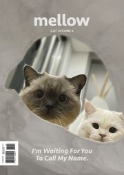 Mellow Cat Volume 6 멜로우 매거진