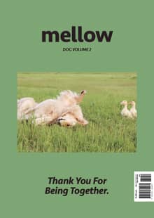 Mellow Dog Volume 2 멜로우 매거진