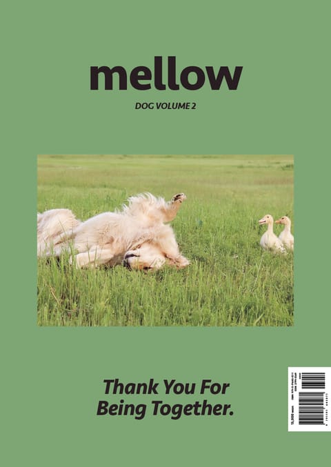 Mellow Dog Volume 2 멜로우 매거진 표지 이미지