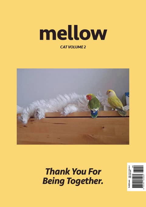 Mellow Cat Volume 2 멜로우 매거진 표지 이미지